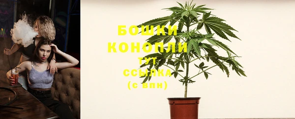 a pvp Коряжма