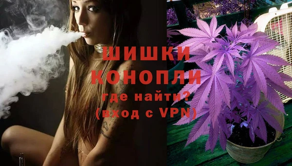 амф Краснослободск