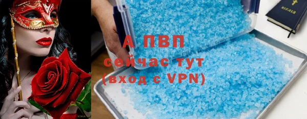 a pvp Коряжма