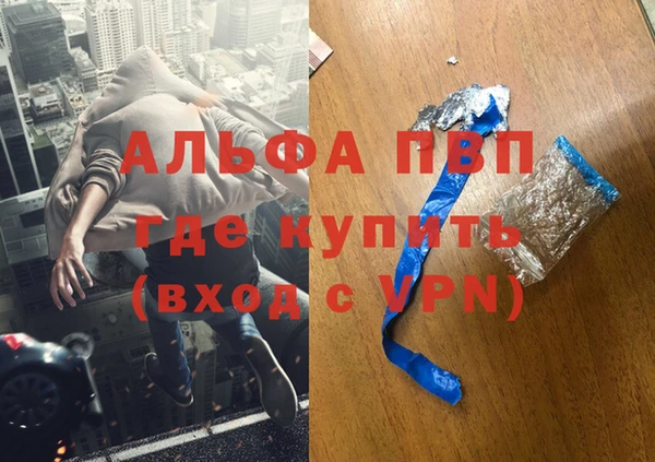 a pvp Коряжма
