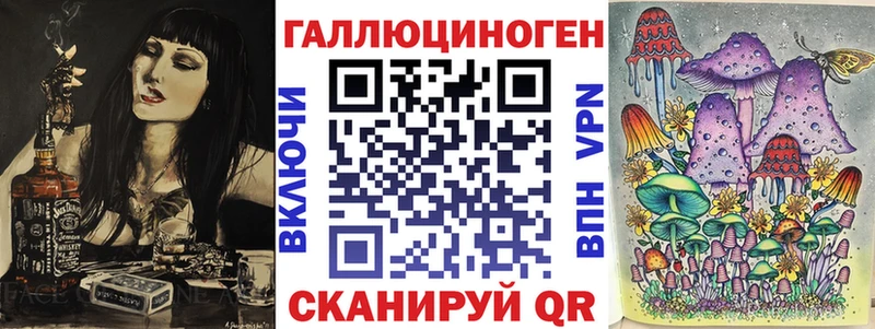 Купить  Павловская  Псилоцибиновые грибы Psilocybe 